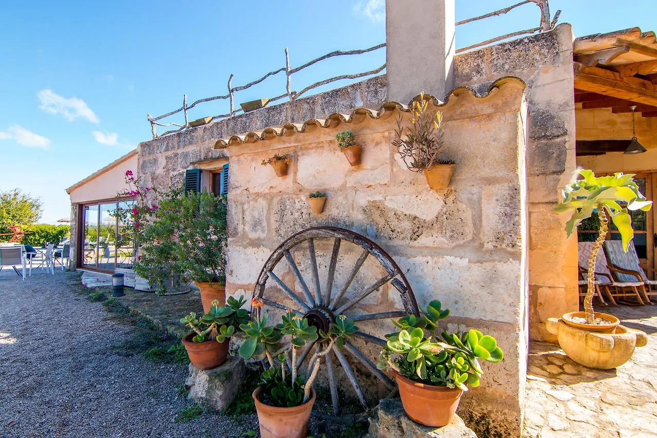 Agroturismo Petit Hotel Son Perdiu - Adults Only Sa Rapita